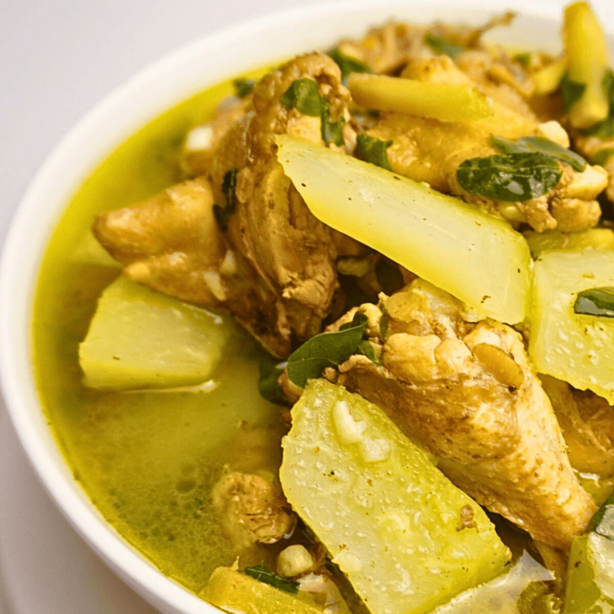 A bowl seving of tinolang manok with papaya.
