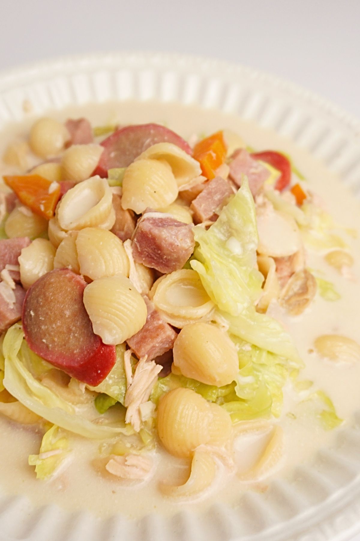 Serving of creamy chicken sopas.