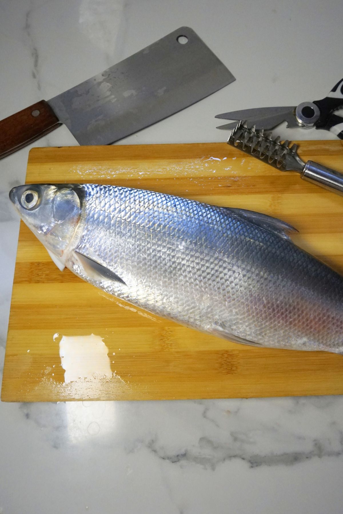 Fresh whole bangus (Milkfish), knife and scissor on top of a wooden chopping board.