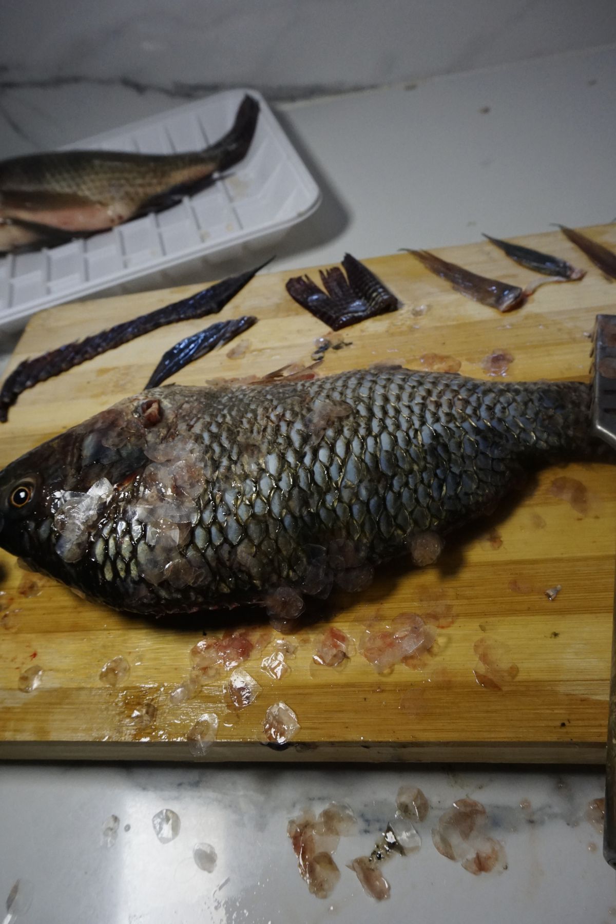 How-to-clean-tilapia-10