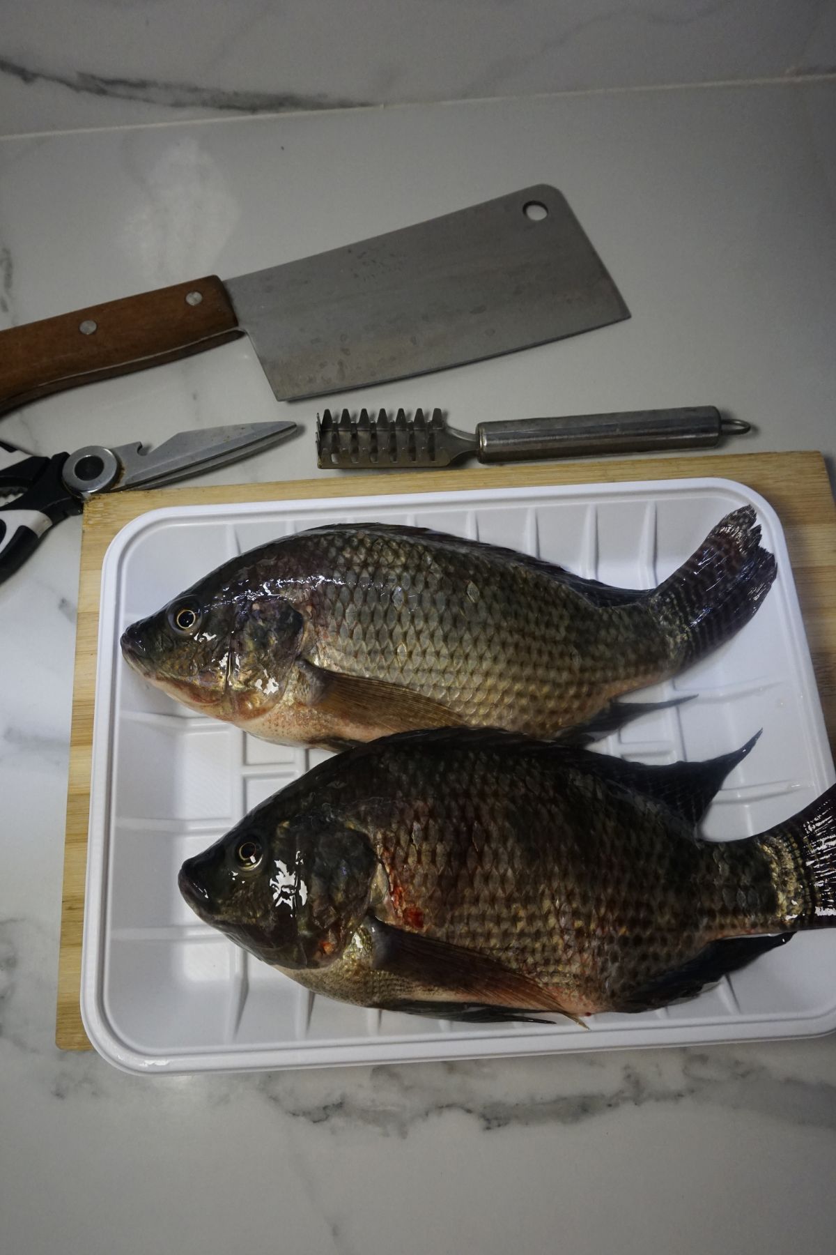 How-to-clean-tilapia-13