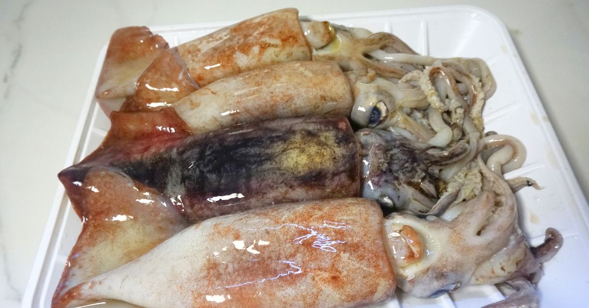 Fresh squid in a white plastic plate.