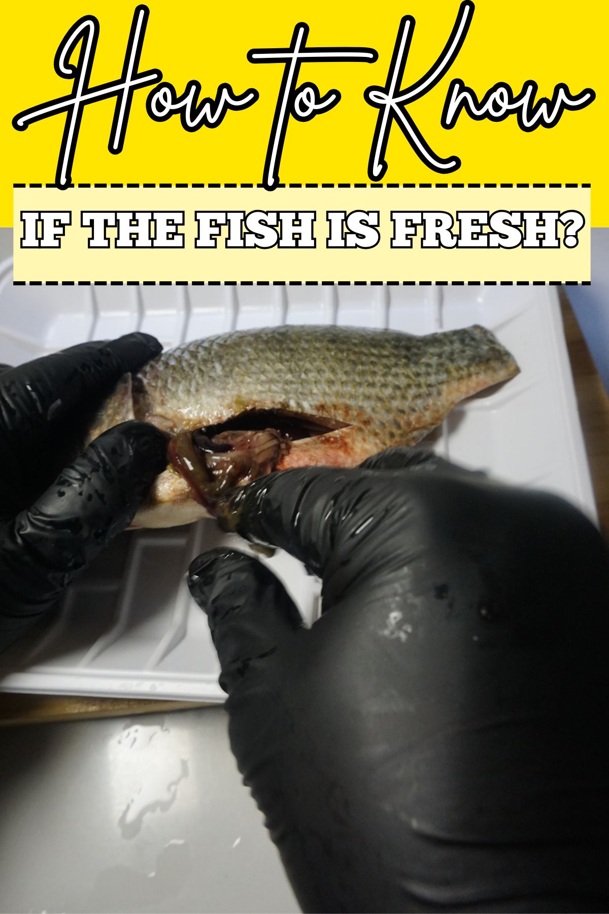 How to Know if Fish is Fresh Before You Buy