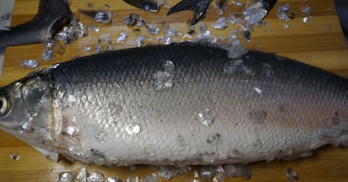 Descaled fresh milkfish in wooden board