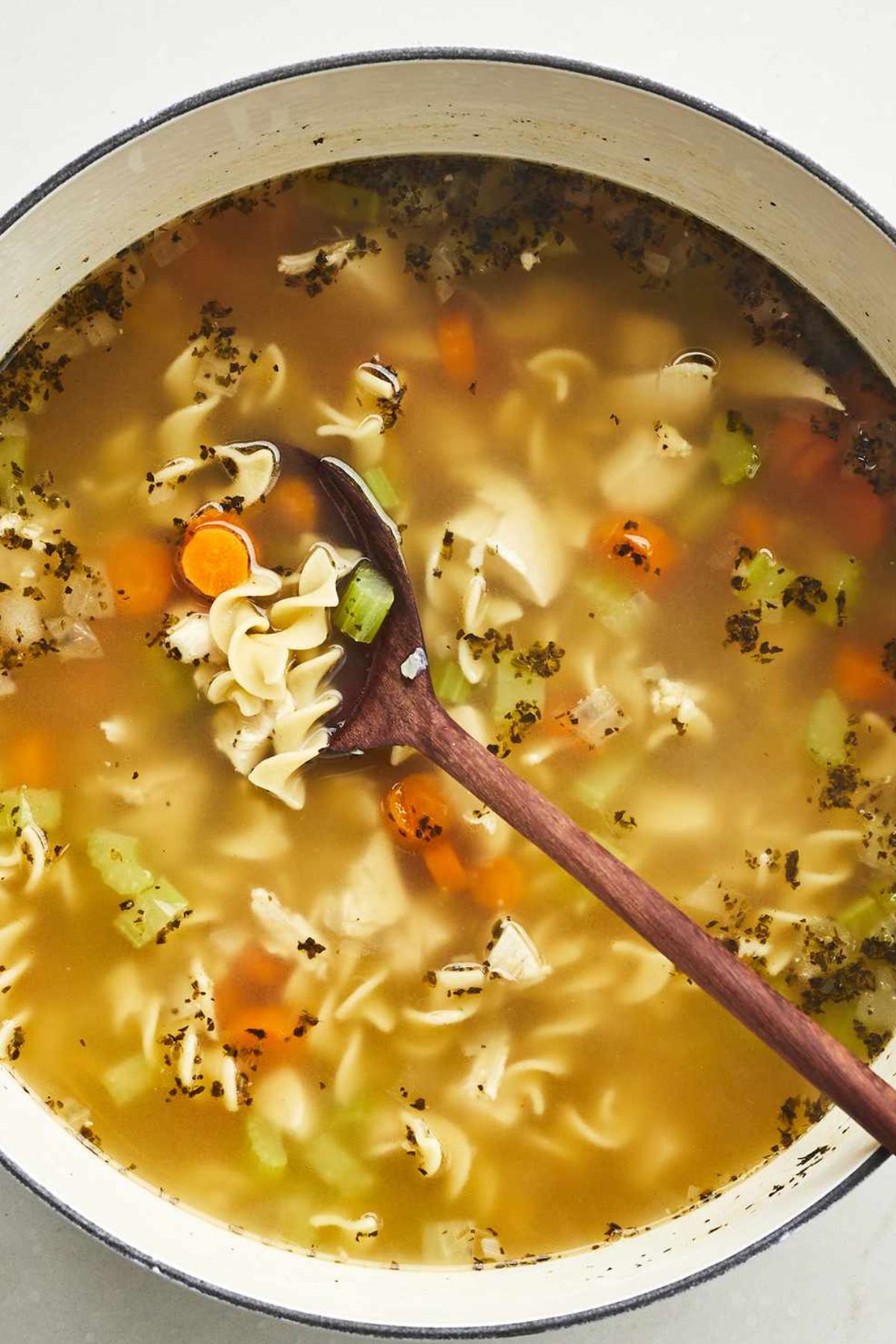 Quick and Easy Chicken Noodle Soup