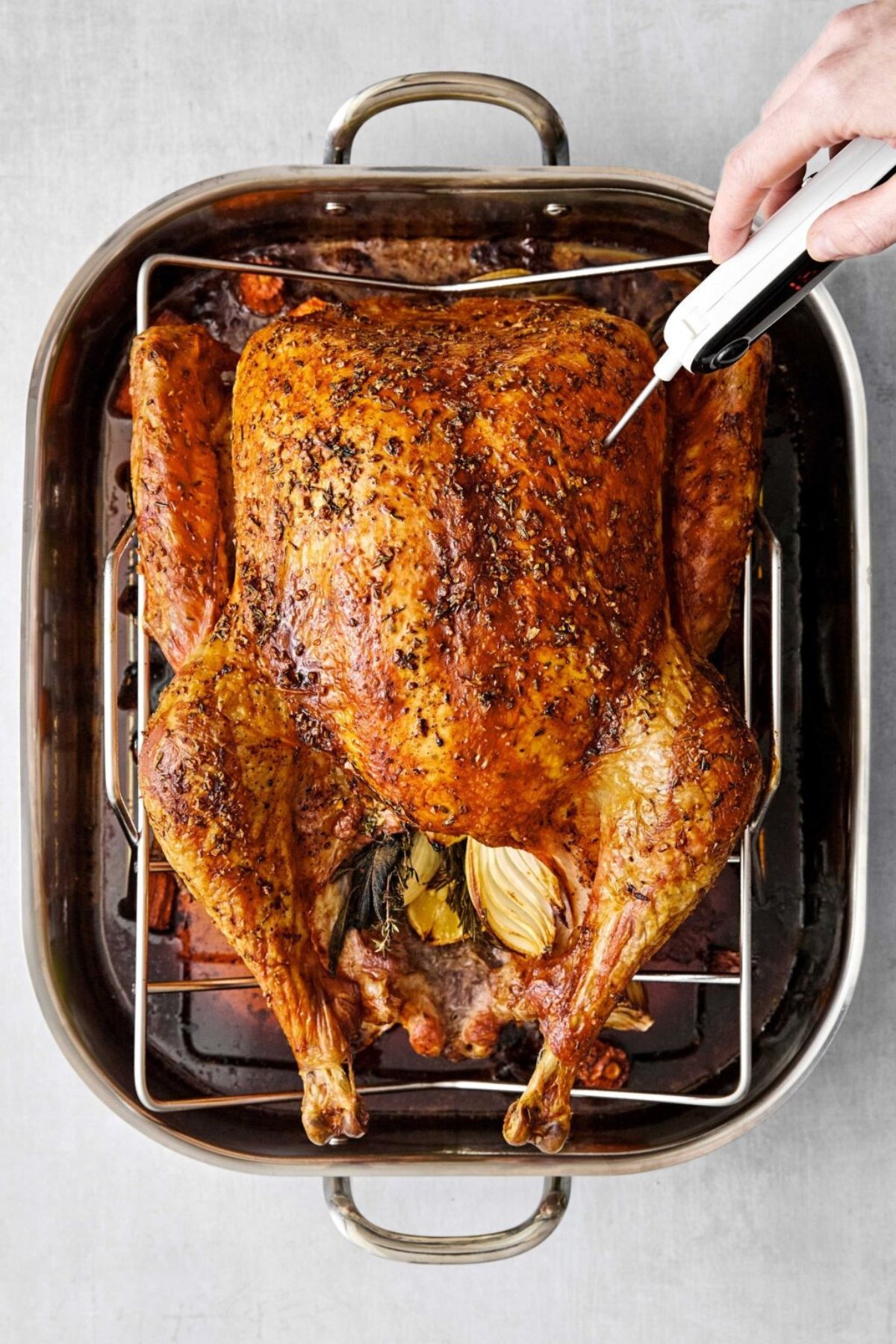 Thanksgiving Turkey